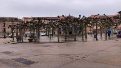Belorado – Plaza Mayor und Iglesia San Pedro.
Fast wie die fränkischen Tanzlinden.